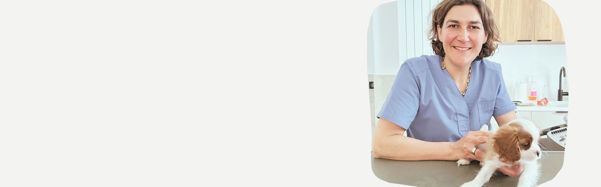 Mobile Vet Sonographer in Boston Area (Arlington, Cambridge, Sommerville, Newton)