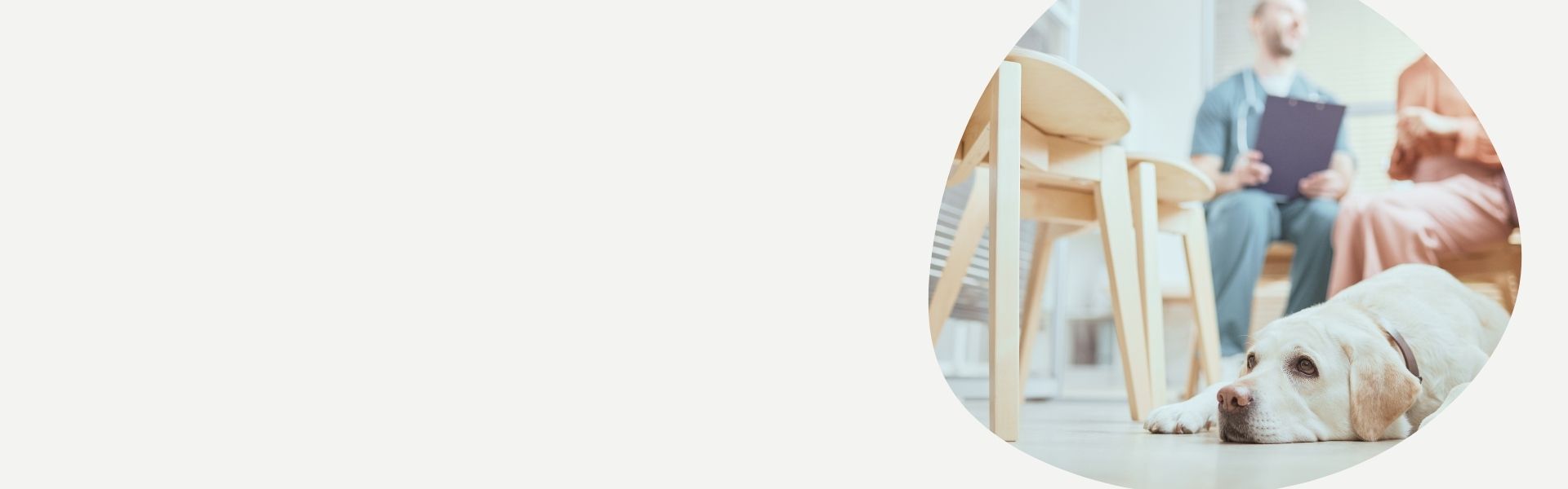 Mobile Pet Echo Boston